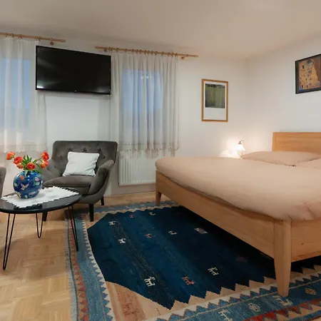 Apartment Homely In The Center With Garden View